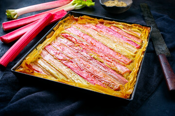 Traditional French rhubarb tarte with red wine plant in fresh cheese filling served as close-up in...