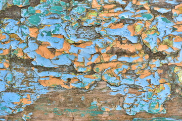 The background wood, painted with old peeling paint