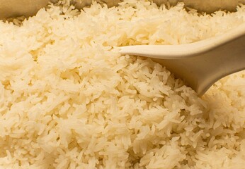 rice in a bowl