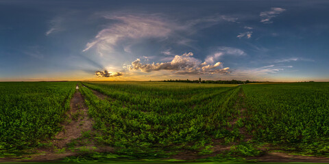 Fototapeta na wymiar spherical evening hdri panorama 360 view among farming fields with awesome sunset clouds in equirectangular projection, ready for VR AR virtual reality content