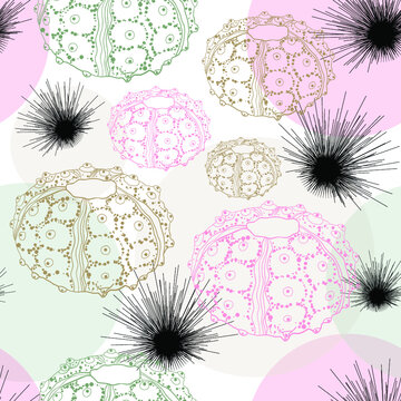 Urchins