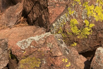 Yellowish lichen cover large boulders on the top of a mountain.