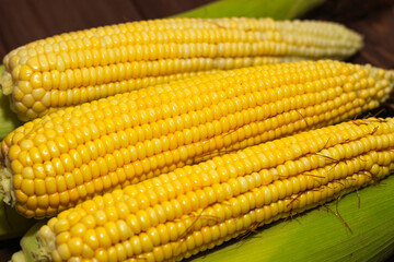Sweet yellow corn lies on a wooden table.
