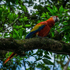 Jardín Botánico