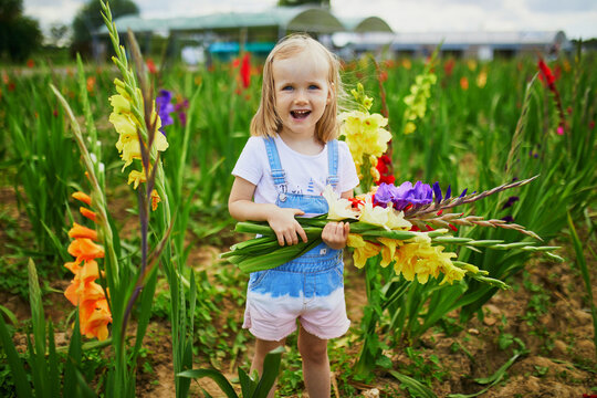 Adorable girl picking beautiful gladiolus flowers on farm