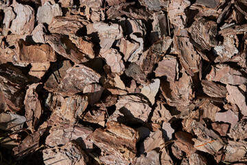 Background - Bark of a tree in pieces. High quality photo