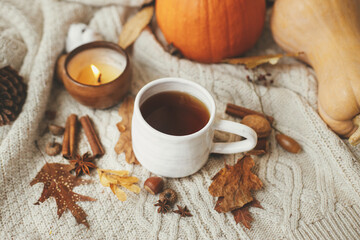 Obraz na płótnie Canvas Cozy autumn days. Warm cup of tea on stylish knitted sweater with pumpkins, autumn leaves and nuts, burning candle. Happy Thanksgiving and Halloween. Hello fall season