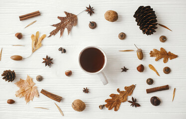 Warm cup of tea with autumn leaves, nuts, berries, anise, acorn, cinnamon on white wood, flat lay. Cozy autumn days. Happy Thanksgiving and Halloween. Hello fall season