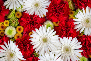 Flower Arrangement of White Gerbera and Red Carnations