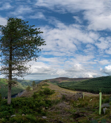 Panoramic idyllic view of Glendalough Valley, County Wicklow Upper lake from miners way, Glenealo valley, Wicklow way, County Wicklow, Ireland.
