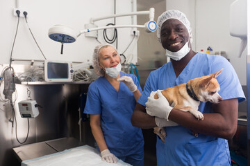 Proffesional man veterinarian holding a small dog in a veterinary clinic