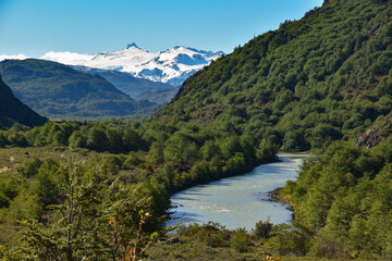 pristine nature at Chile's Torres del Paine national park with forests, glaciers and rivers
