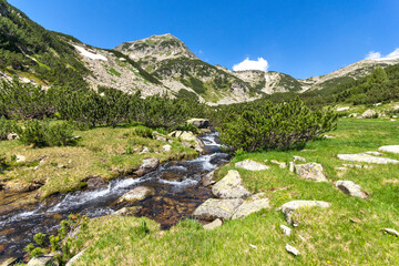 Fototapeta na wymiar Small Mountain river near Muratovo lake, Pirin Mountain, Bulgaria