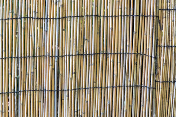 木の模様　木目のパターン wood grain pattern material woods
