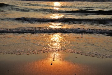 A pebble in the sand as the ocean waves come in