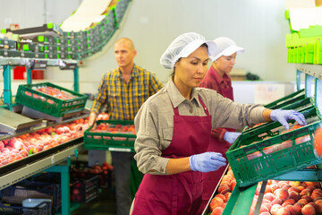 Two women sorting peaches and man carrying box full of peaches behind them.