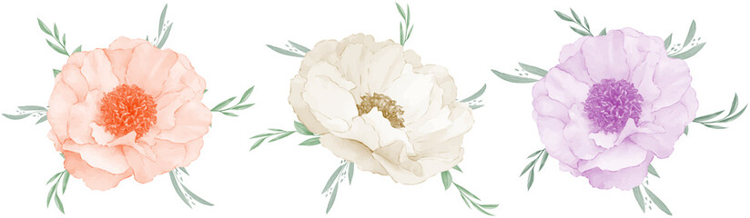  Anemone flower bouquet watercolor set design element isolated on white background
