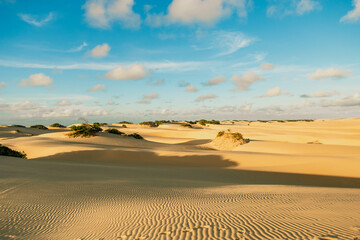 Dunas Douradas de Piaçabuçu, Alagoas, Brazil