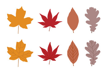 Autumn leaves, maple leaf vector icon illustration set.
