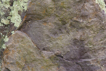 Moldy Rock Texture Surface 003