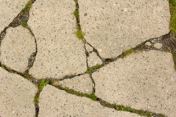 Fototapeta premium Broken Pavement 001