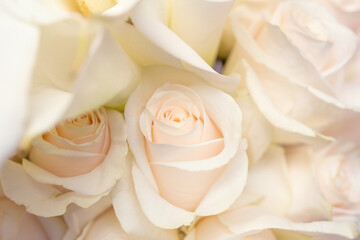 A closeup view of a bouquet of white roses.