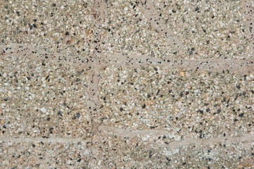 Beige Color with Small Rocks 003