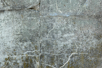Cracked Brushed Gray Moldy Rock Texture 001