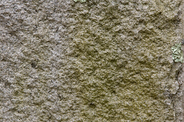 Stone with Green Stain 001