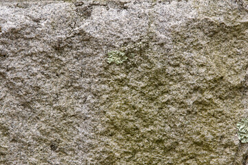 Stone with Green Stain 002