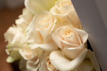 A view of an elegant collection of white roses in a box bouquet.