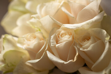 A view of an elegant collection of white roses in a box bouquet.