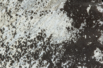 Black and White Spotted Rock Texture 001