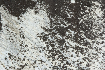 Black and White Spotted Rock Texture 004