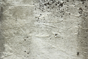 Pinched Black and White Dirty Spotted Rock Texture 001