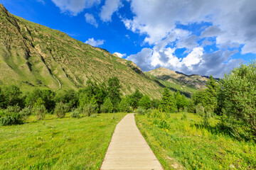 Beautiful mountain and green grassland with forest in Xiata Scenic Area,Xinjiang,China.
