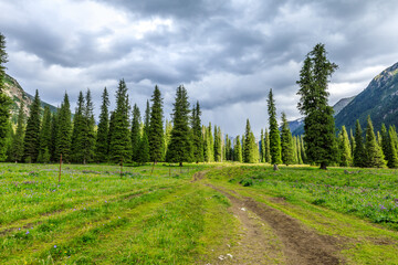 Beautiful natural scenery in Xiata Scenic Area,Xinjiang,China.