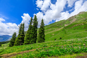 Naklejka premium Beautiful natural scenery in Xiata Scenic Area,Xinjiang,China.
