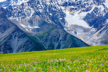 Fototapeta premium White glaciers and green grasslands in the Tianshan Mountains,Xinjiang,China.