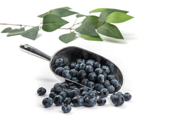 a baker's scoop of fresh ripe blueberries isolated on white