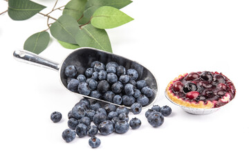 a baker's scoop of fresh ripe blueberries and a home made blueberry tart isolated on white
