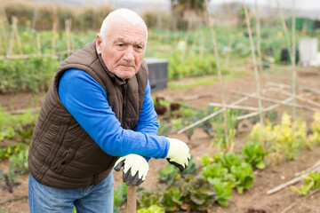 Portrait of tired senior man standing with hoe in his kitchen garden on cloudy spring day..