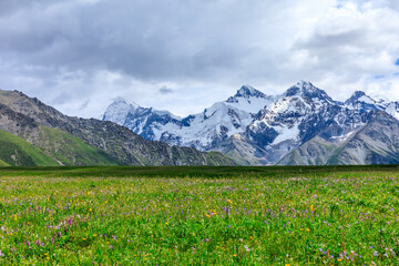 White glaciers and green grasslands in the Tianshan Mountains,Xinjiang,China.