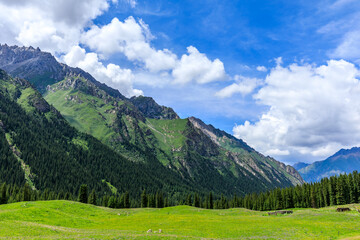 Beautiful mountain and green grassland in Xiata Scenic Area,Xinjiang,China.