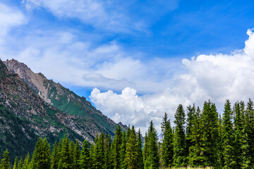 Fototapeta premium Beautiful mountain and green grassland in Xiata Scenic Area,Xinjiang,China.