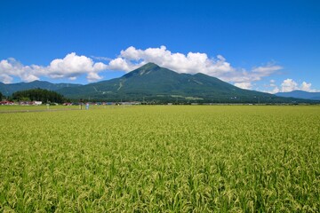 田園と磐梯山（福島県・猪苗代町）