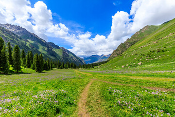 Fototapeta premium A walking path leads to distant mountains.beautiful natural scenery in Xiata Scenic Area,Xinjiang,China.