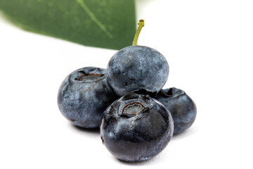 a macro extreme closeup view of fresh ripe blueberries isolated on white