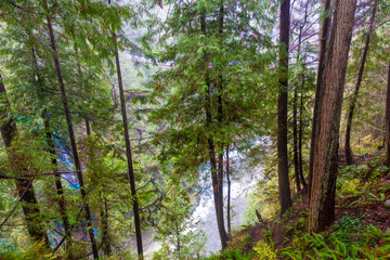 Fototapeta premium カナダ・バンクーバーの観光名所を旅行する風景Scenes from a trip to the sights of Vancouver, Canada.