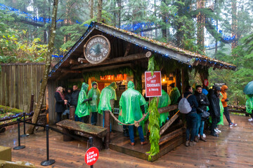 Obraz premium カナダ・バンクーバーの観光名所を旅行する風景Scenes from a trip to the sights of Vancouver, Canada.